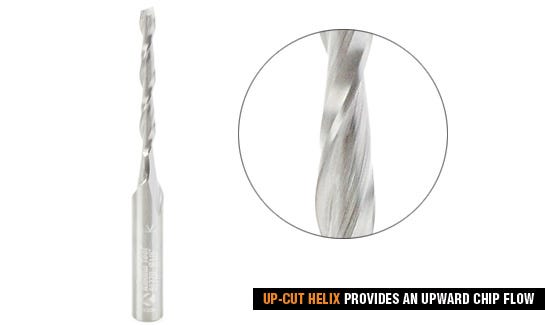 Supplemental Image 3