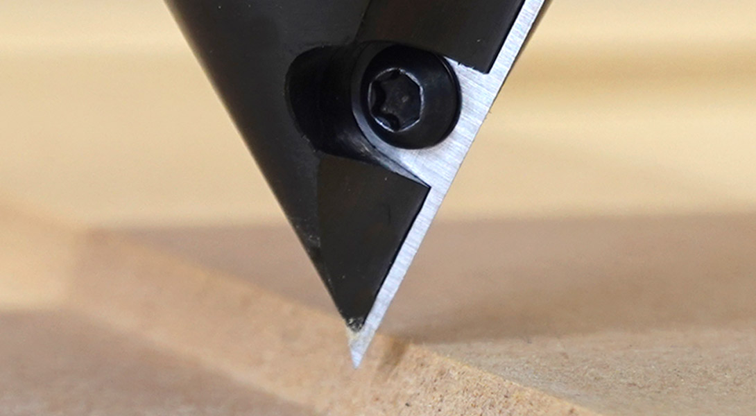 Supplemental Image 3